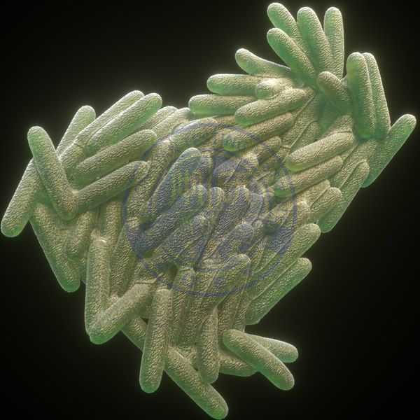 龟分枝杆菌定量检测.jpg